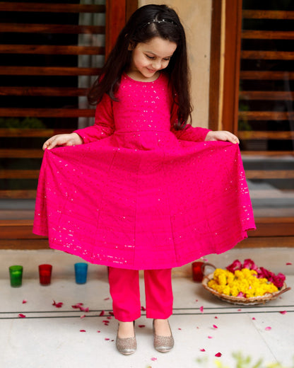 Beautiful Pink Chikankari Anarkali