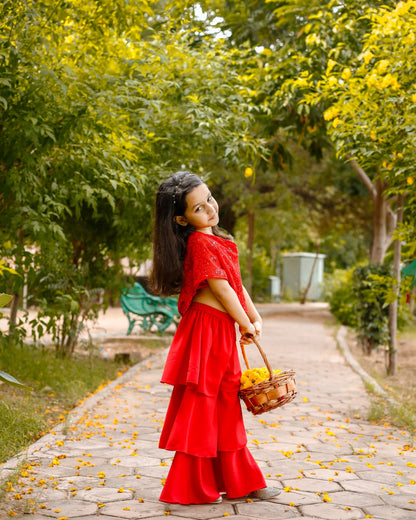 Red Embroidered Georgette Sharara Set