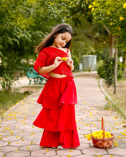 Red Embroidered Georgette Sharara Set